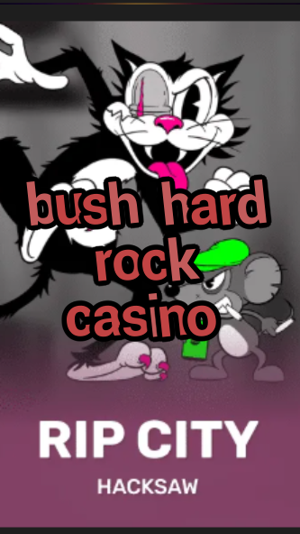 bush hard rock casino-3xn3u5udepyz9m9w5iat.com