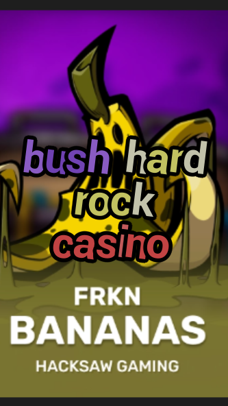 bush hard rock casino-3xn3u5udepyz9m9w5iat.com